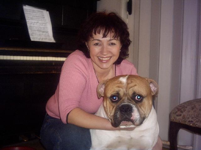 Foto: Americk� bulldog-n� mil��ek Benjam�n. Majitel: Dezider.Ferenc@sezam.cz