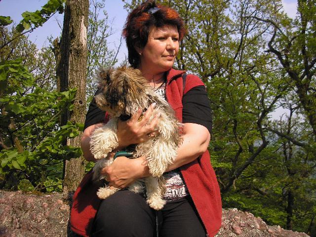 Fotky: Bolo�sk� ps�k (foto, obrazky)