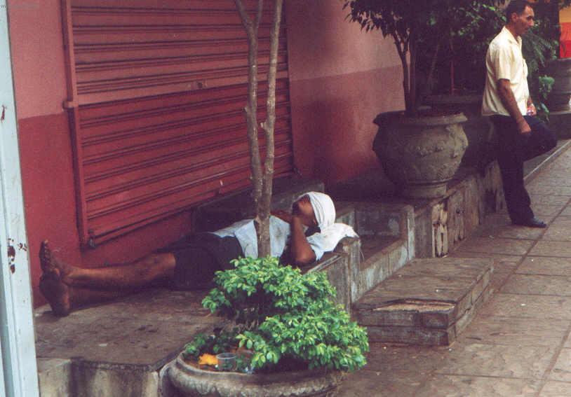 Fotky: Braz�lie (cestopis) (foto, obrazky)