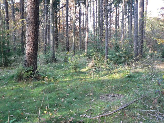 Fotky: �esk� republika - �esko (cestopis) (foto, obrazky)