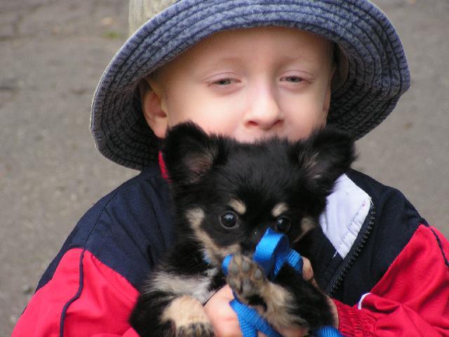 Fotky: �ivava (foto, obrazky)