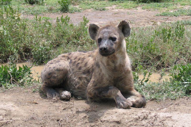 Fotky: Ke�a (cestopis) (foto, obrazky)