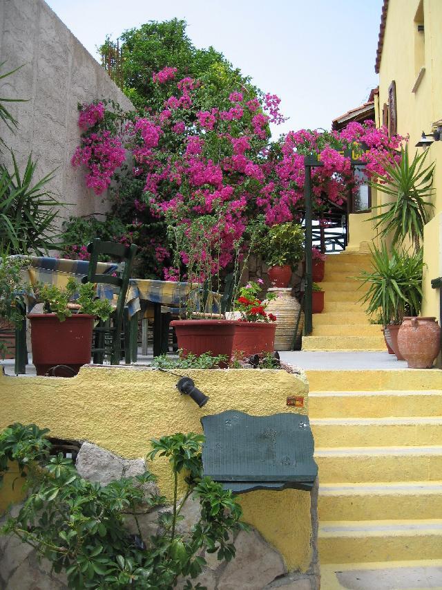 Fotky: �ecko (foto, obrazky)