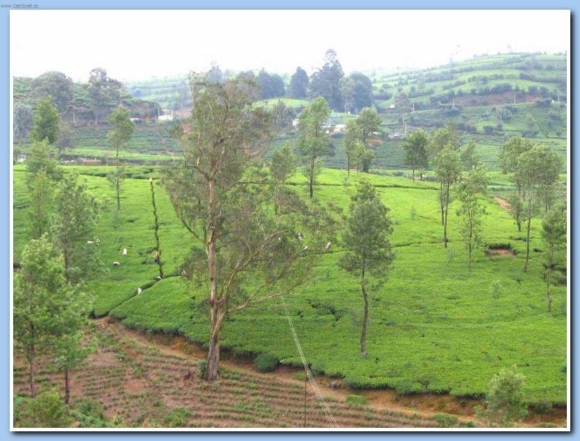 Fotky: Sr� Lanka (cestopis) (foto, obrazky)