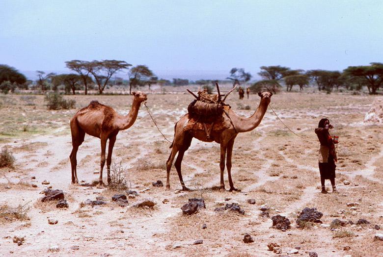 Fotky: S�d�n (foto, obrazky)