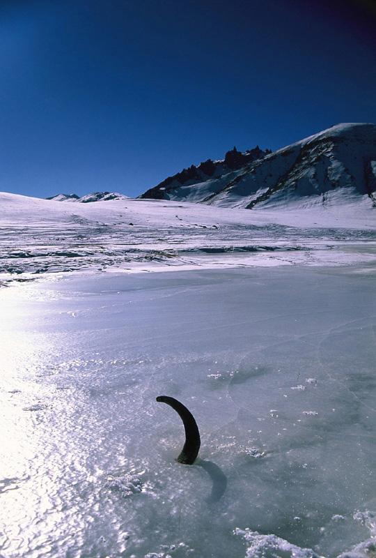 Foto: T�d�ikist�n-Murgab