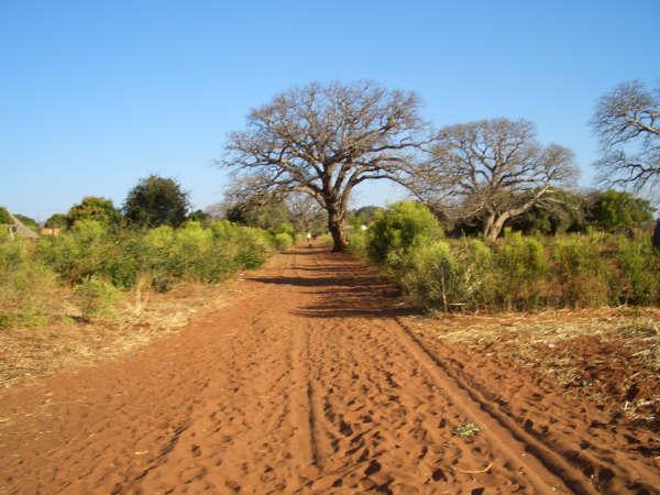 Foto: Zambie-Livingstone
