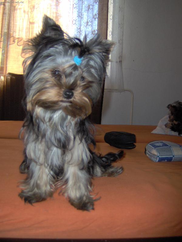 Foto: Charlie