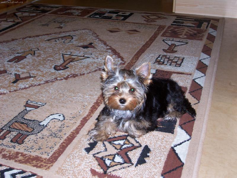 Foto: Bessy
