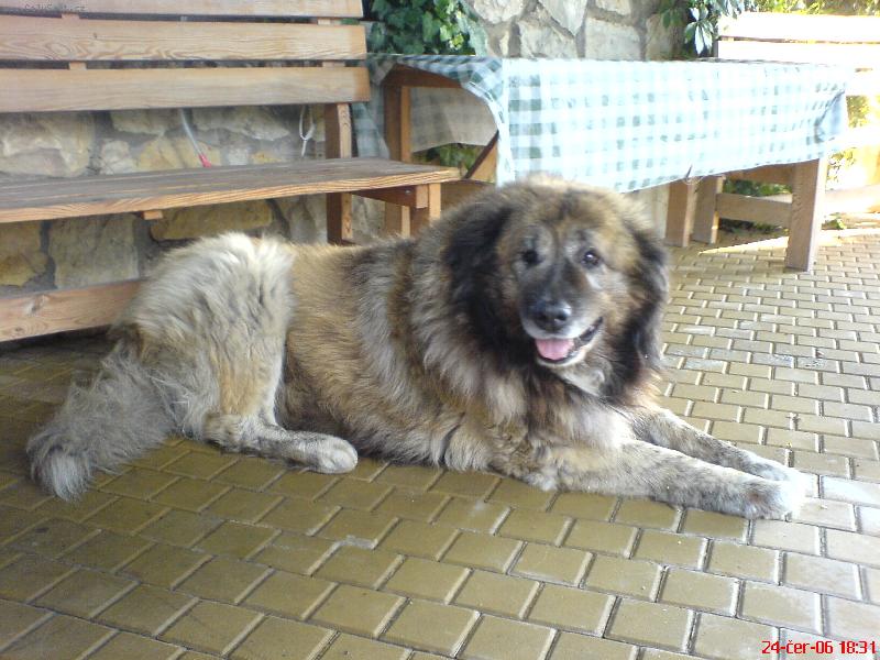 Foto: Ben