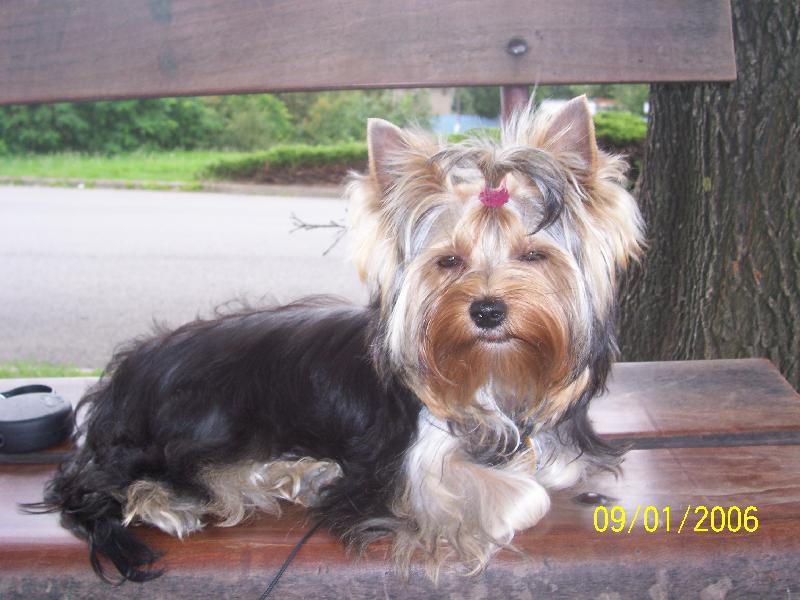 Foto: Bessy