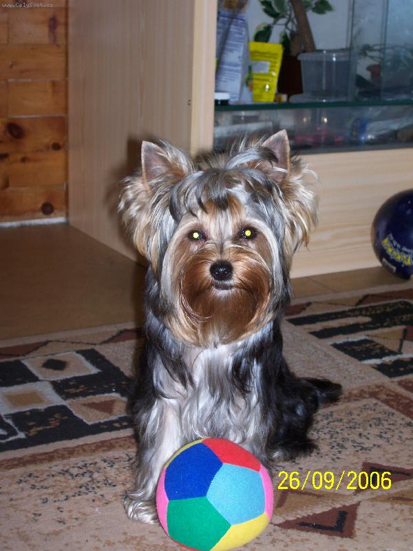 Foto: Bessy