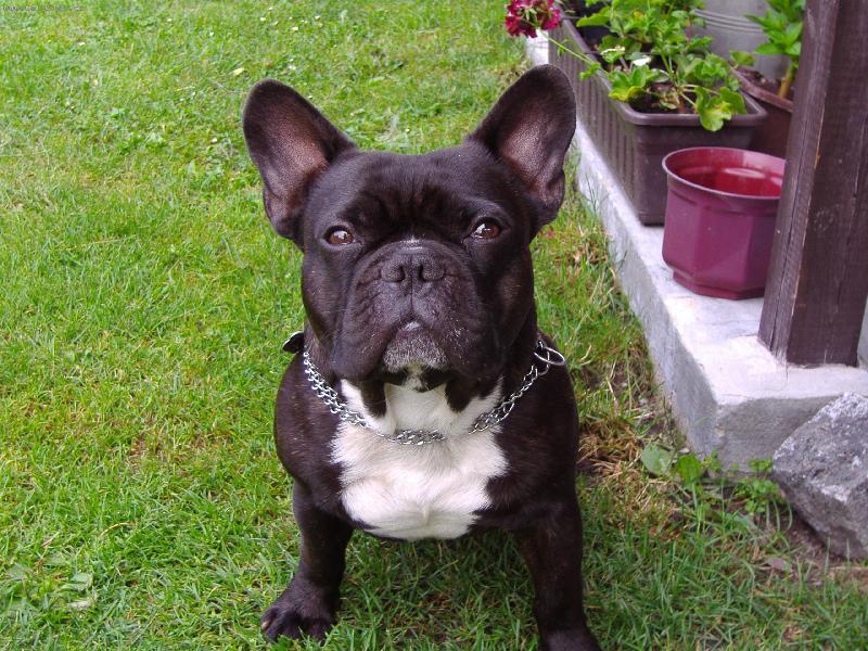 Foto: Jack