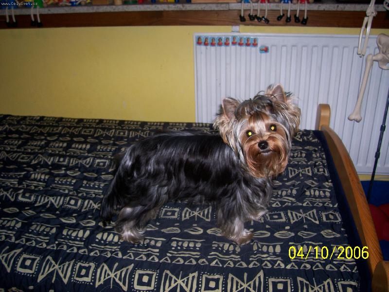 Foto: Bessy