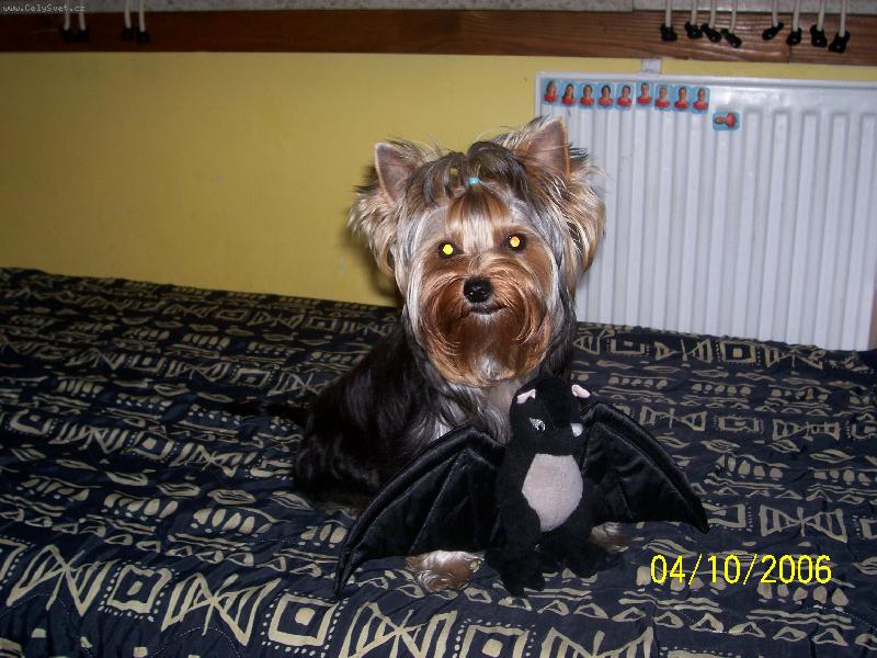 Foto: Bessy