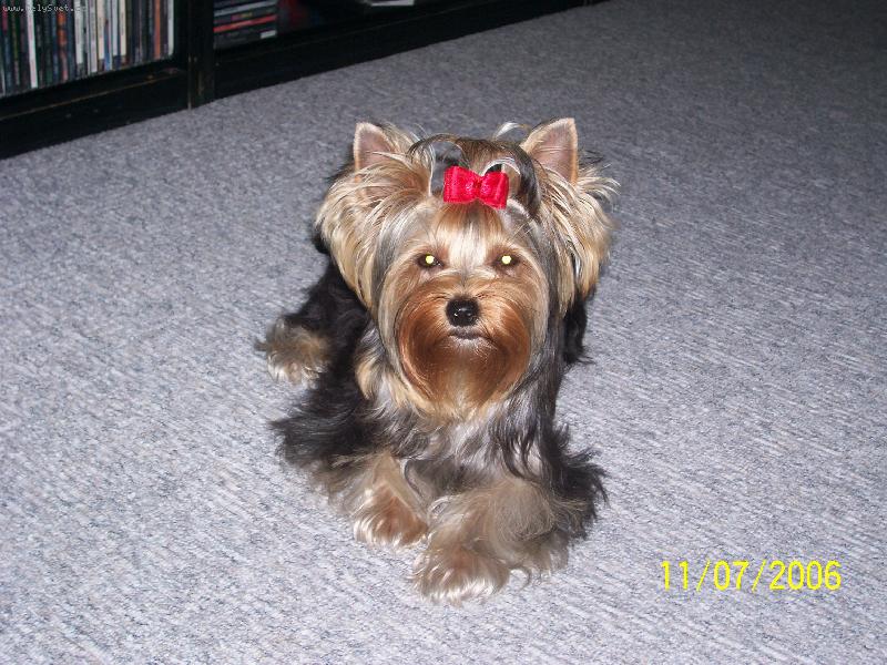 Foto: Bessy