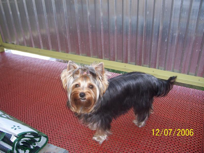 Foto: Bessy