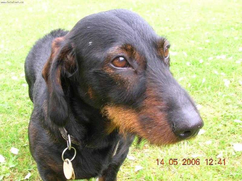 Foto: Hugo