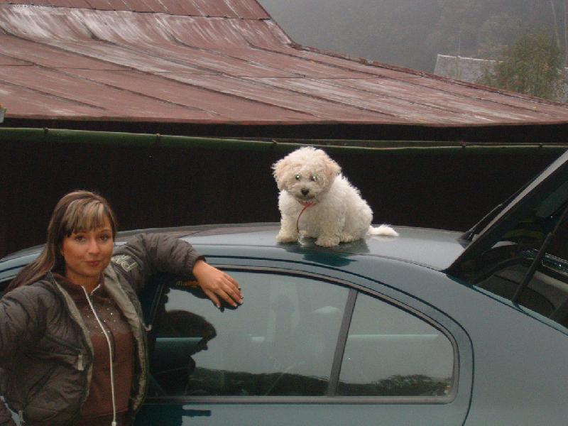 Foto: muficek