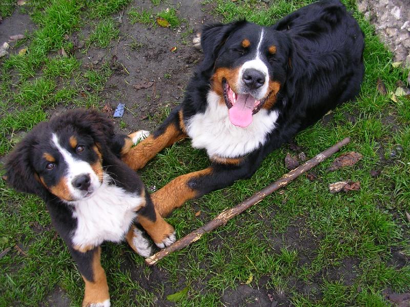 Foto: Max a Sam