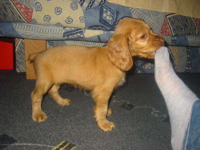 Foto: jde mi po noze.oD