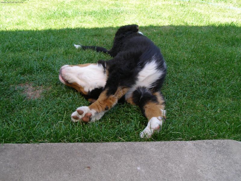 Foto: To je par�da....