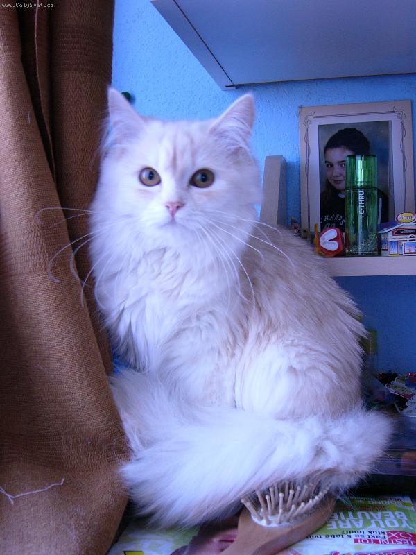 Foto: n� mil��ek