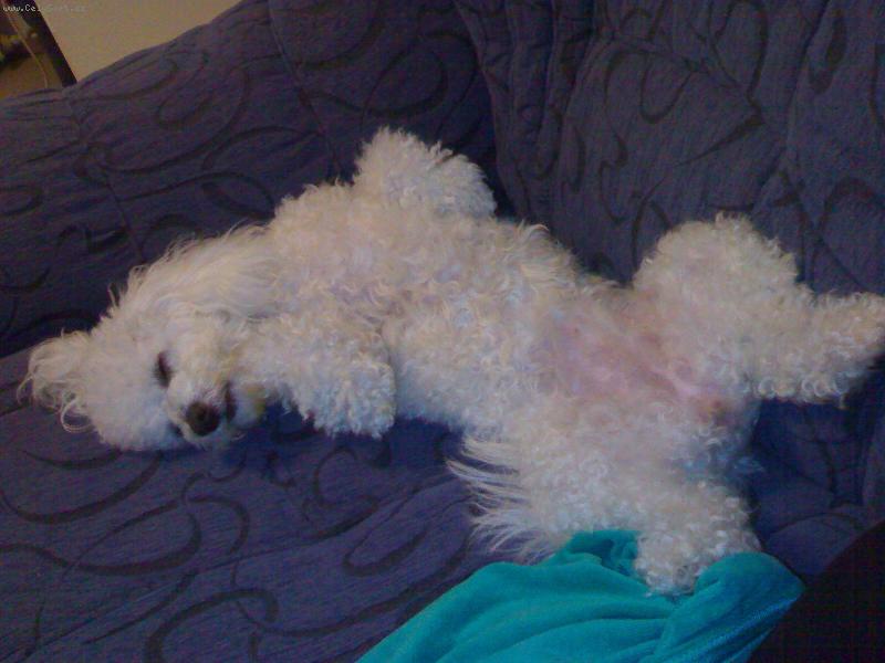 Foto: Odpo�inek...