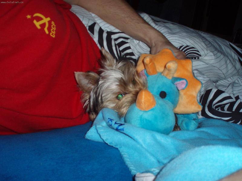 Foto: coco + nosoro�ec