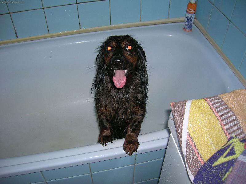 Foto: Na�e Dejsi p�i koup�n�