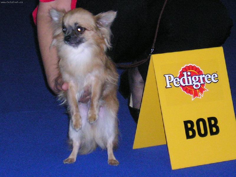 Foto: A jsem BOB !!!