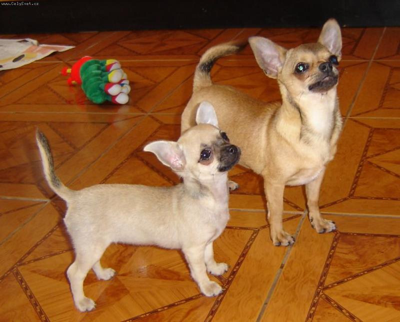 Foto: n�m taky ...