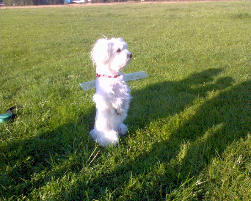 Foto: DEJSINKA-3 roky