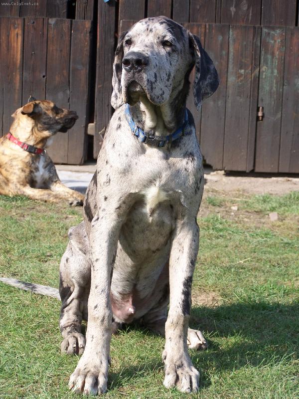 Foto: IGOREK-5,5 m�s�ce