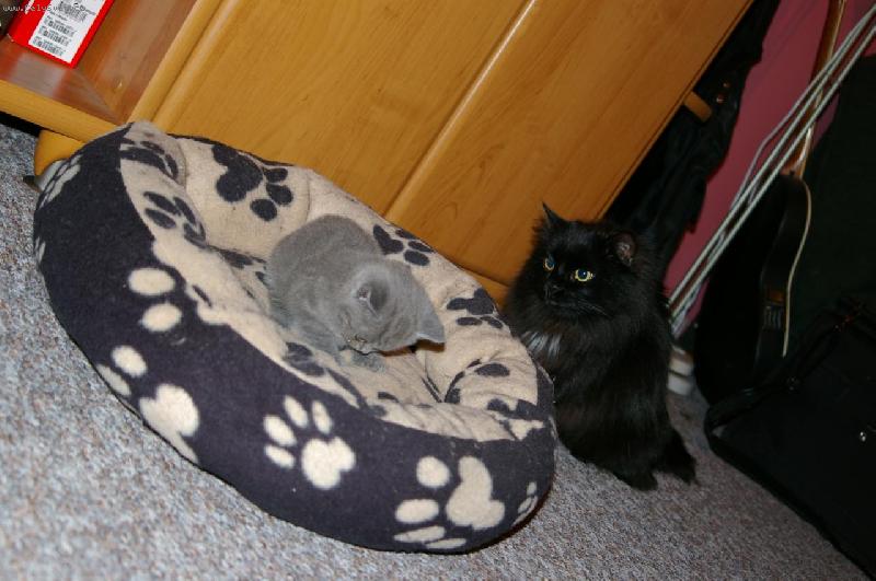 Foto: Pr�ka & Maxim