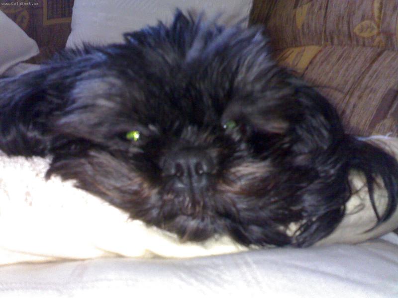 Foto: Lady-Ladynka :-)