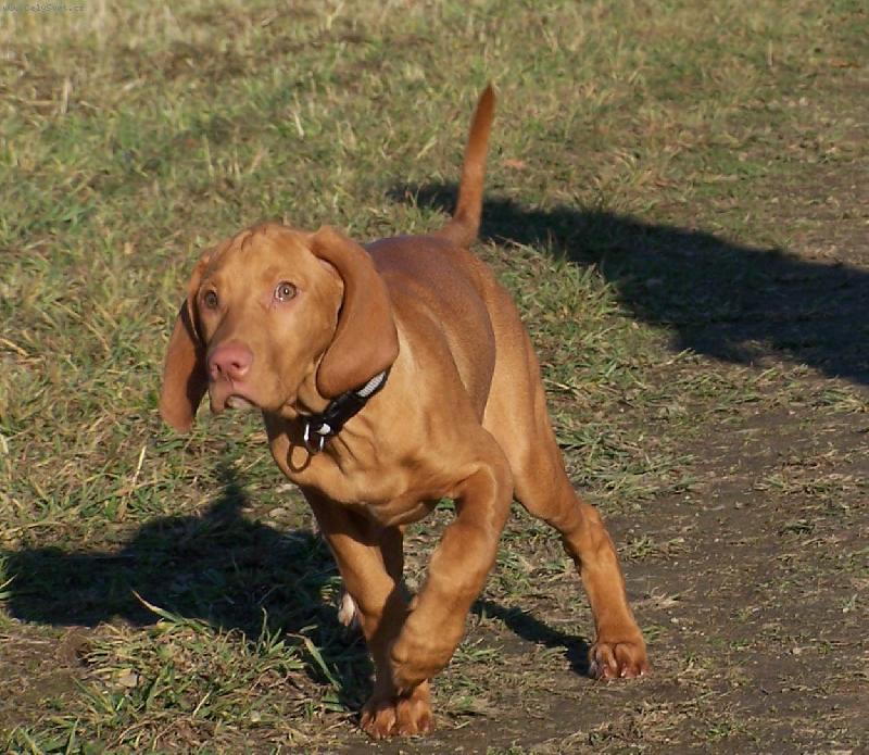 Foto: Bar�a-u� let�m!