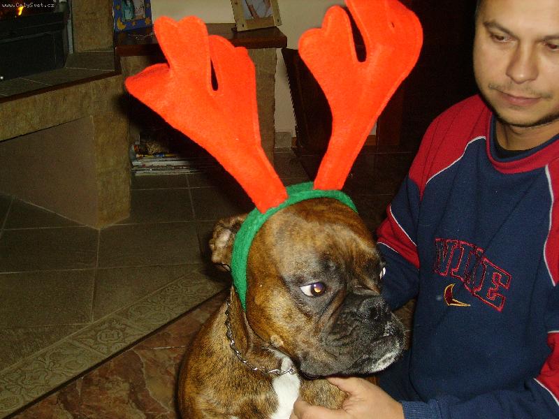 Foto: mil��ek Ozzy