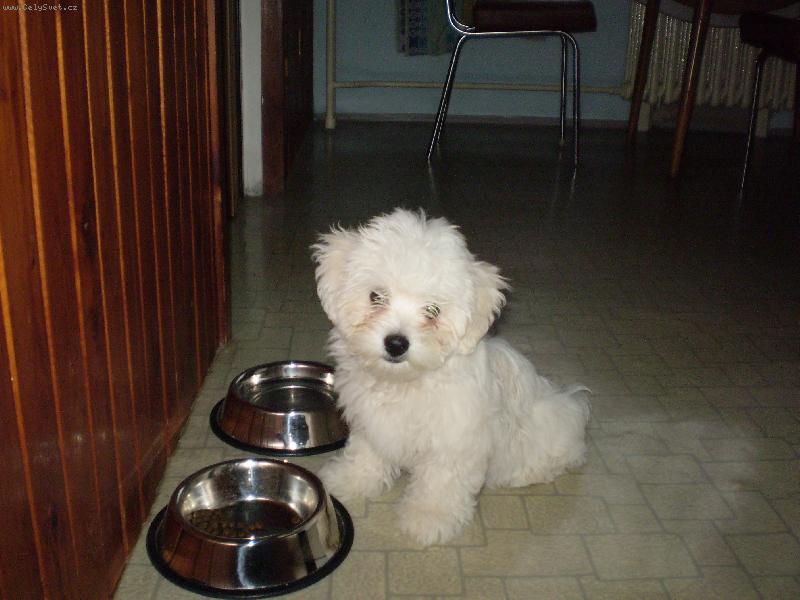 Foto: Monty r�d ba�t�:)