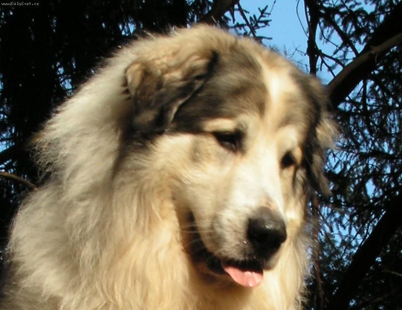 Foto: Copak je to tam dole?