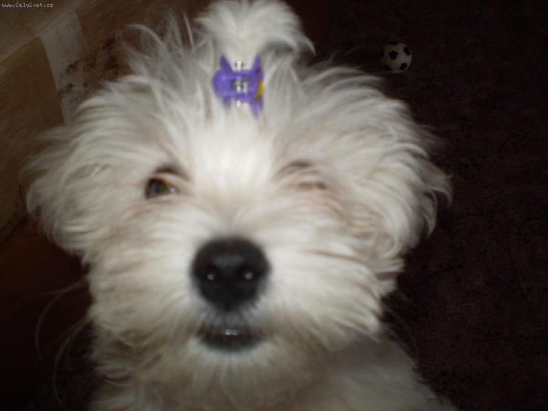 Foto: S cul��kem:)