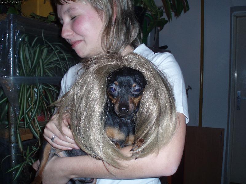 Foto: Jerry v p�estrojen�:)