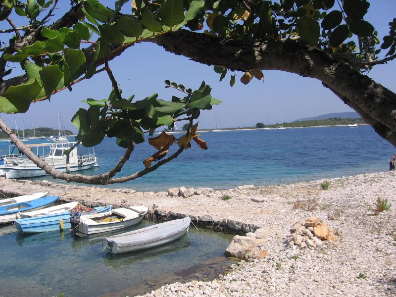 Foto: P��st�vek