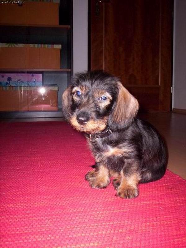 Foto: Nely-fe�anda