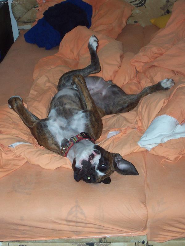 Foto: Takhle spink�m