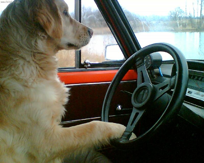 Foto: S�ra-Auto�kola