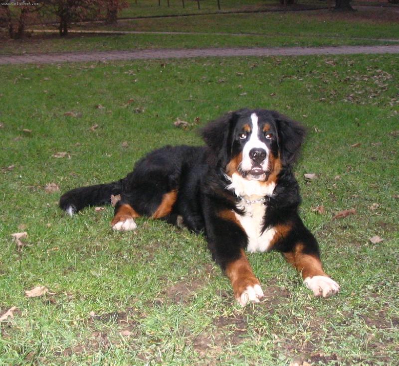 Foto: Astor Polepsk� �dol�-7 m�s�c�