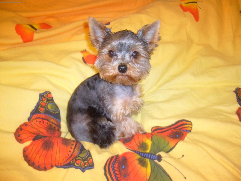 Foto: hm to je pohodicka