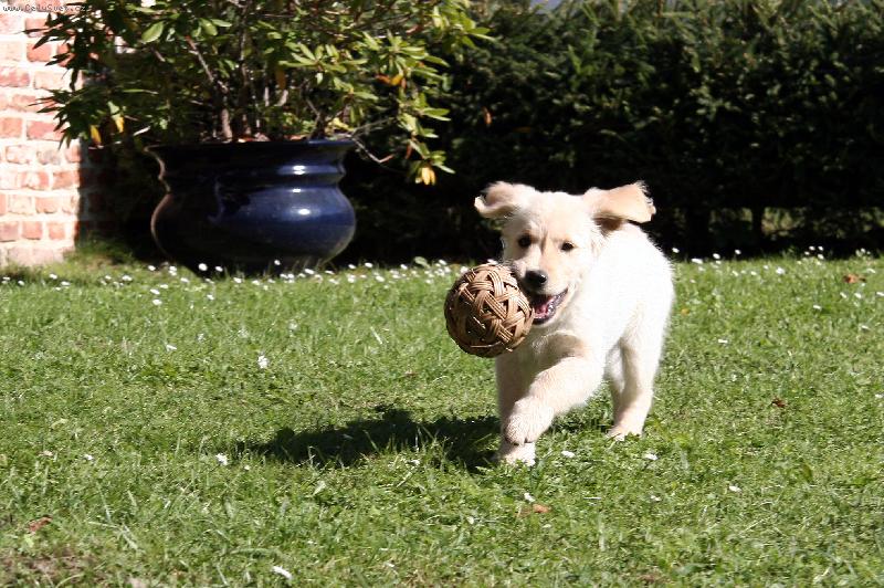 Foto: Alka-Poj� si hr�t