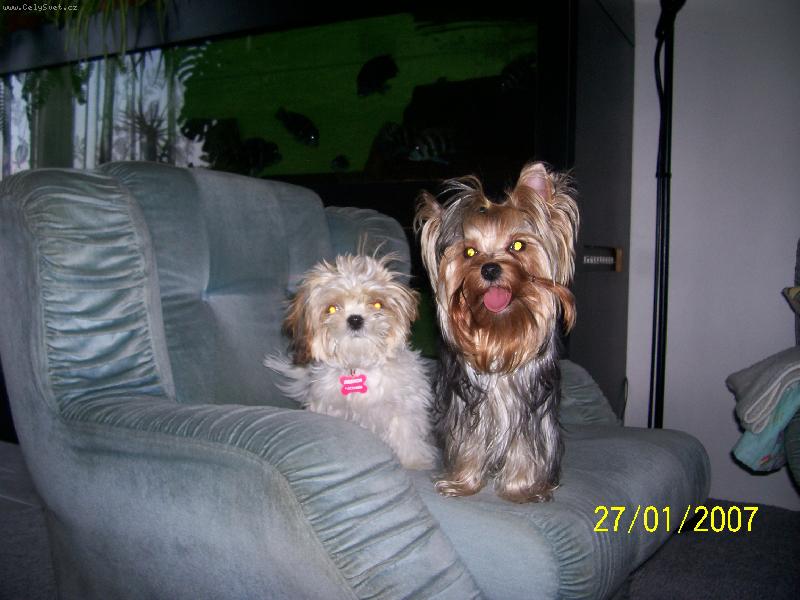 Foto: Bessy a Brenda